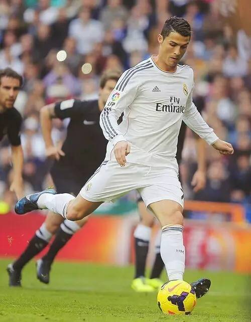 语的案例 语的案例