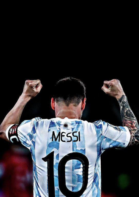 影响与展望 影响与展望